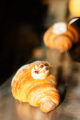 CYN-WebPhoto-015